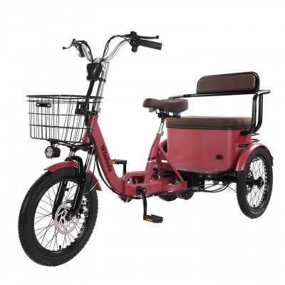 650W Electric Assist Tricycle 3 Wheel E-Bike for Family Commute Child Pickup & Senior Use