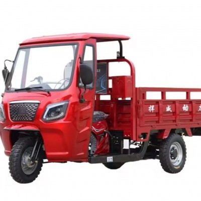 Heavy-Duty 3-Wheel Gas Cargo Tricycle Water-Cooled Hydraulic Dump Trike for Farm
