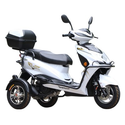 3-Wheel Gasoline Scooter 125CC F1 EFI High-Performance Tricycle for Mountain Climbing