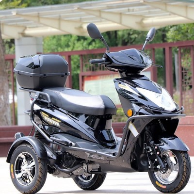 3-Wheel Gasoline Scooter 125CC F1 EFI High-Performance Tricycle for Mountain Climbing
